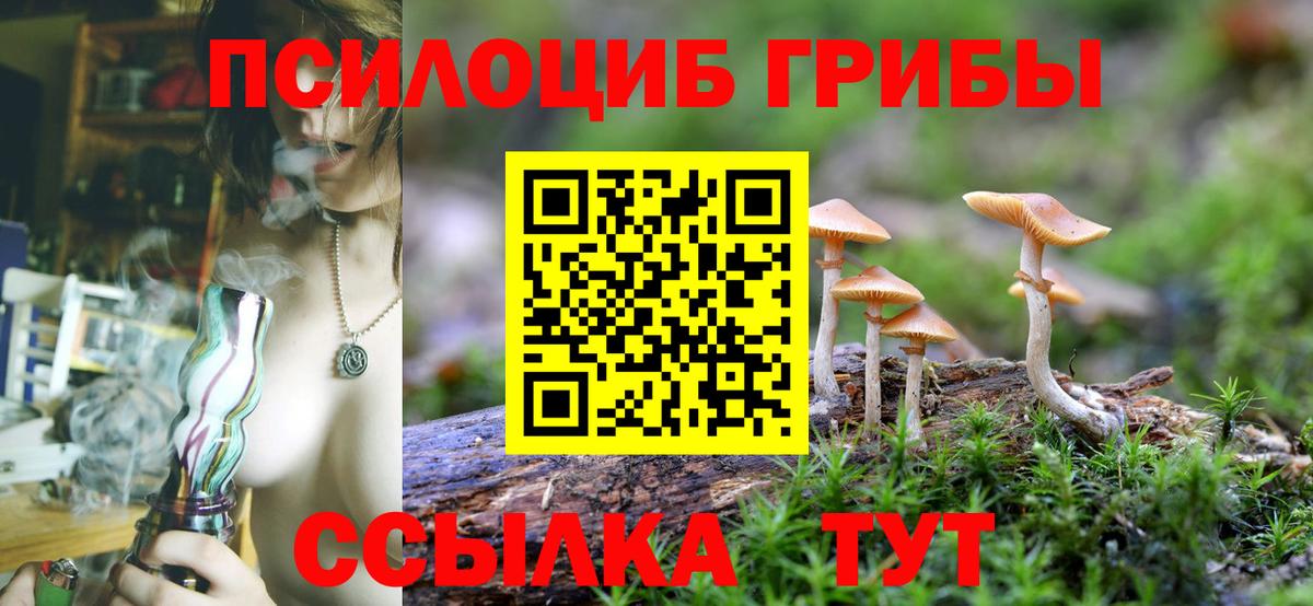 Галлюциногенные грибы Magic Shrooms  наркота  Королёв  Галлюциногенные грибы Cubensis  Вход с VPN 